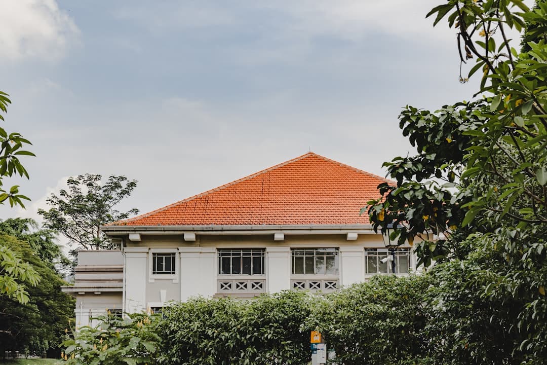 Using bridging finance to fund a Singapore co-investment deadline